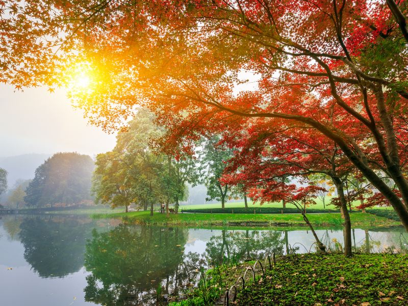 Nakajima Park