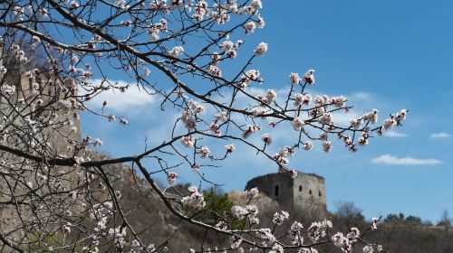 白羊峪長城旅遊区