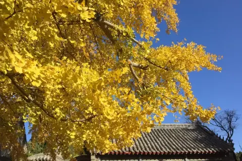 浮來山風景區