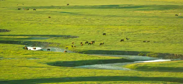 Hotels in Xilin Gol