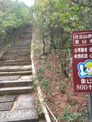 白雲森林公園步雲嶺登山步道