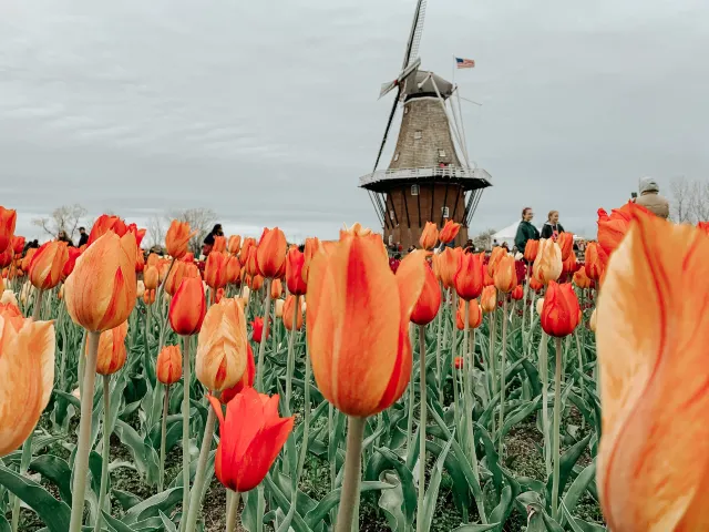 Windmill Island Gardens, Holland, Michigan