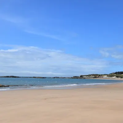 Для бизнес-поездок Отели в г. Цзиньцзян