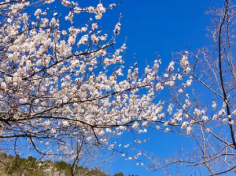 성스데파노 공원