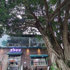 麦菲尔 User Photo