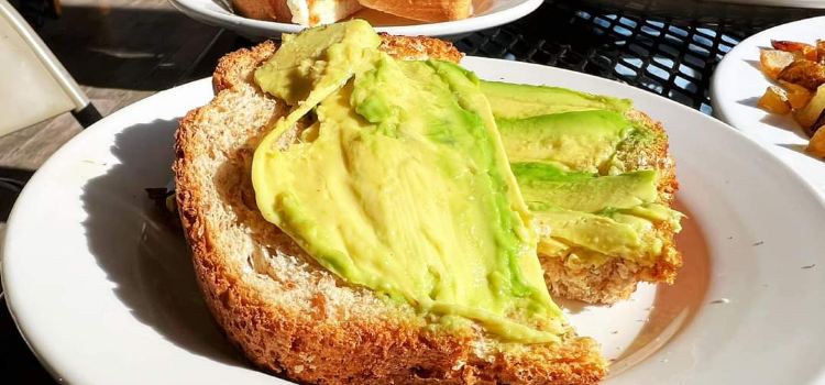 The Avocado House