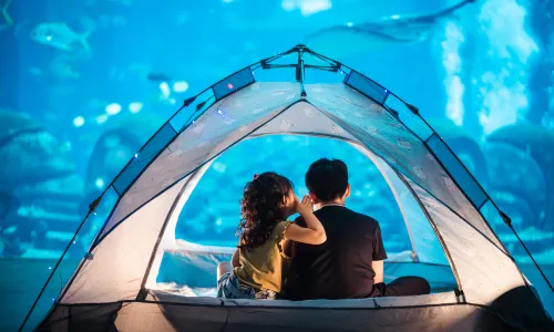 ATLANTIS miniversity