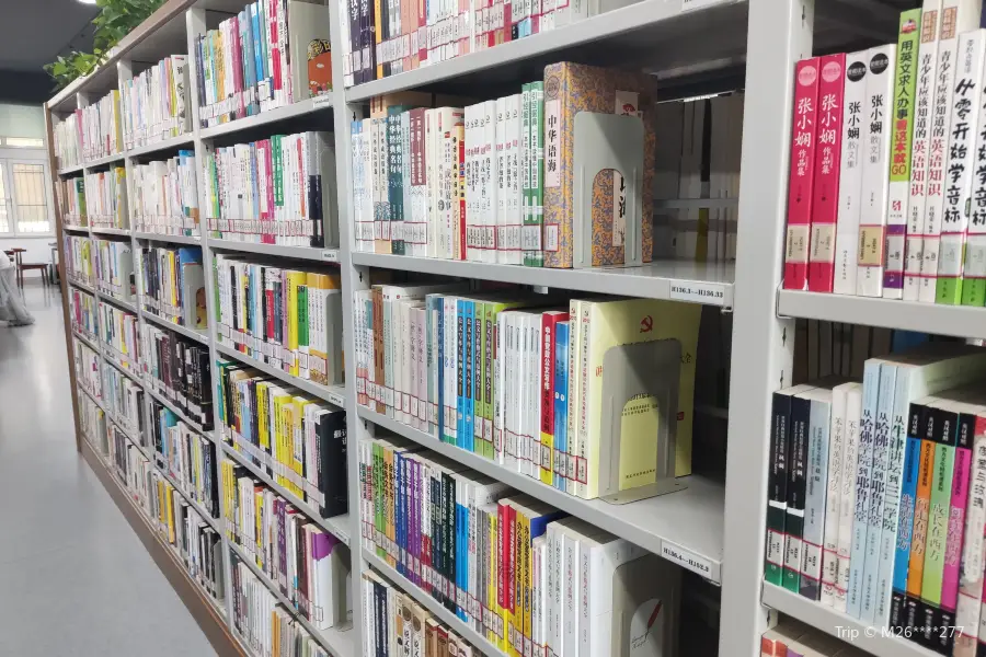 Библиотека Цзинань, Город