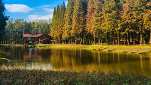 Huanghai Forest Park