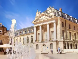 Musée des Beaux-Arts de Dijon