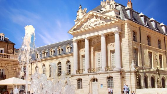 Museum of Fine Arts Dijon