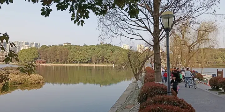 青龍山公園