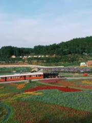 Valley of Lavender Fragrance, Tangqiao, Fenghuang