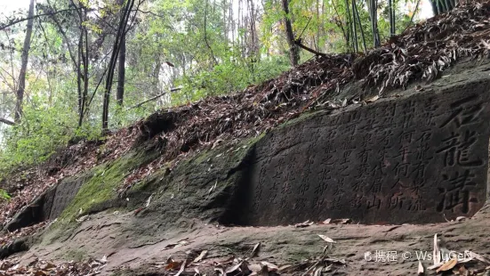 Peng Mountain Stone Dragon