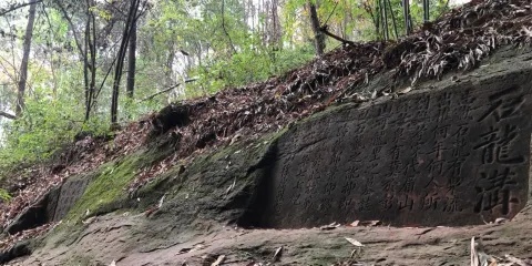 彭山石龍