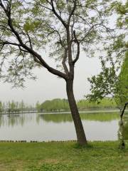 Xiongyue Botanical Garden (South Gate)