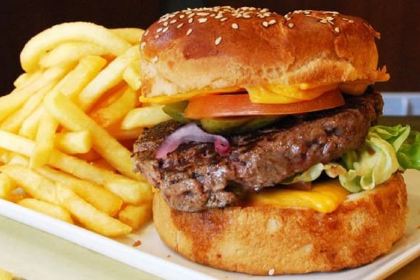 Le Quasimodo Notre Dame