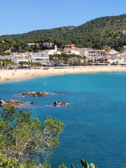 Playa de Llafranc