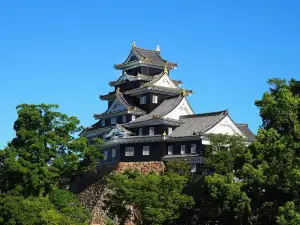 Castillo de Okayama
