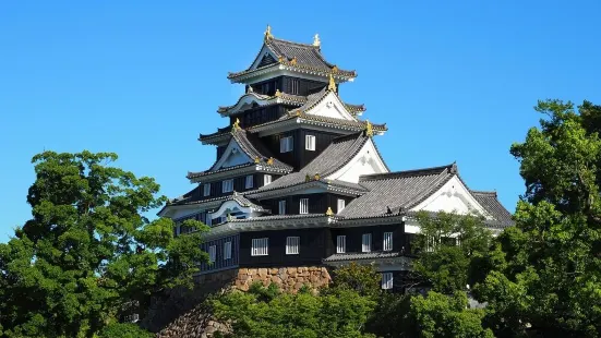 Castello di Okayama