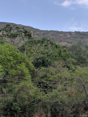 Alagar Kovil Reserve Forest