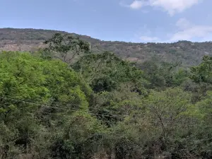 Alagar Kovil Reserve Forest