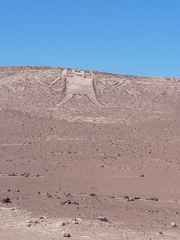 The Tarapacá Giant