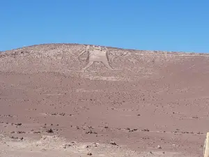 The Tarapacá Giant