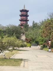 Xuzhou Yunlonghu Jinshan Park
