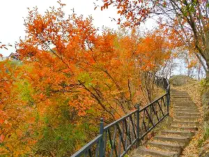 주공자이/구공자이