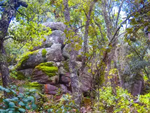Sierra de Lobos