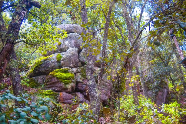 Sierra de Lobos