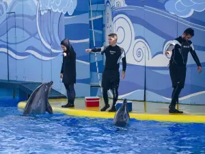 Fakieh Aquarium