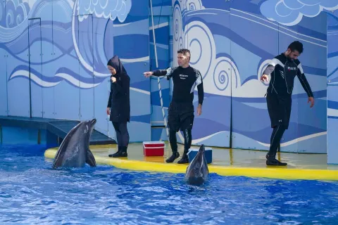 Fakieh Aquarium