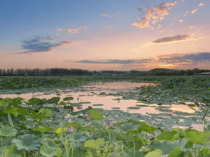Mingcui Lake National Wetland Park