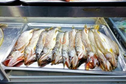 E LUO SI LAO TAI TAI JI NA SHAO KAO