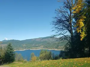 Mossyrock Park