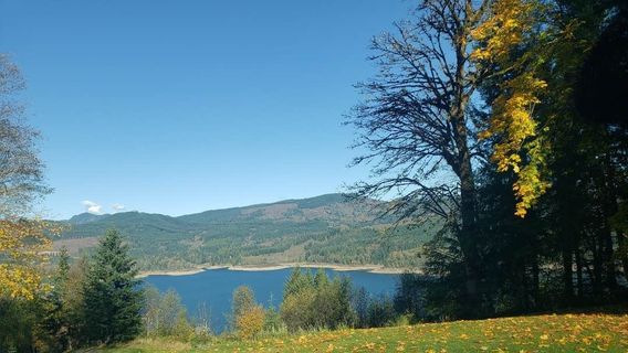 Mossyrock Park