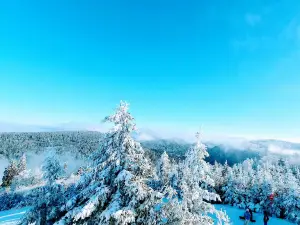 Piste de luge