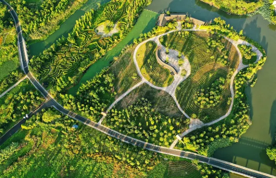 三垟濕地4人划艇+船伕大小同價