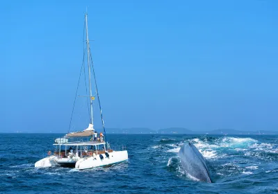 Whale watching Mirissa with Geeth