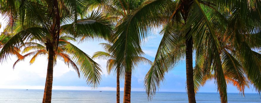 海南三亚旅游攻略:亚龙湾逐浪、蜈支洲岛潜水,在椰林沙滩间邂逅热带滨海浪漫 海南三亚旅游攻略:亚龙湾逐浪、蜈支洲岛潜水,在椰林沙滩间邂逅热带滨海浪漫