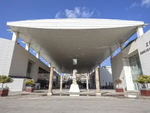 Музей мозаики в Зевгме
