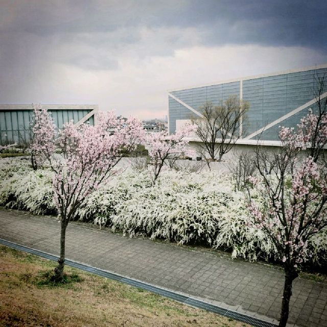 Sayamaeki museum