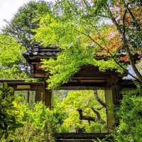 京都湯の花温泉郷ちかくの古寺