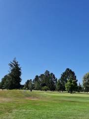 Ashburton Golf Club