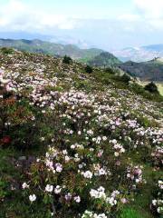 Farm of Jinyang County