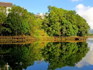 Meizi Lake Park