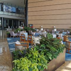 小徑灣艾美酒店·北緯22大堂吧張用戶圖片