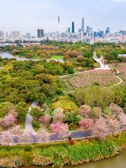 海珠國家濕地公園